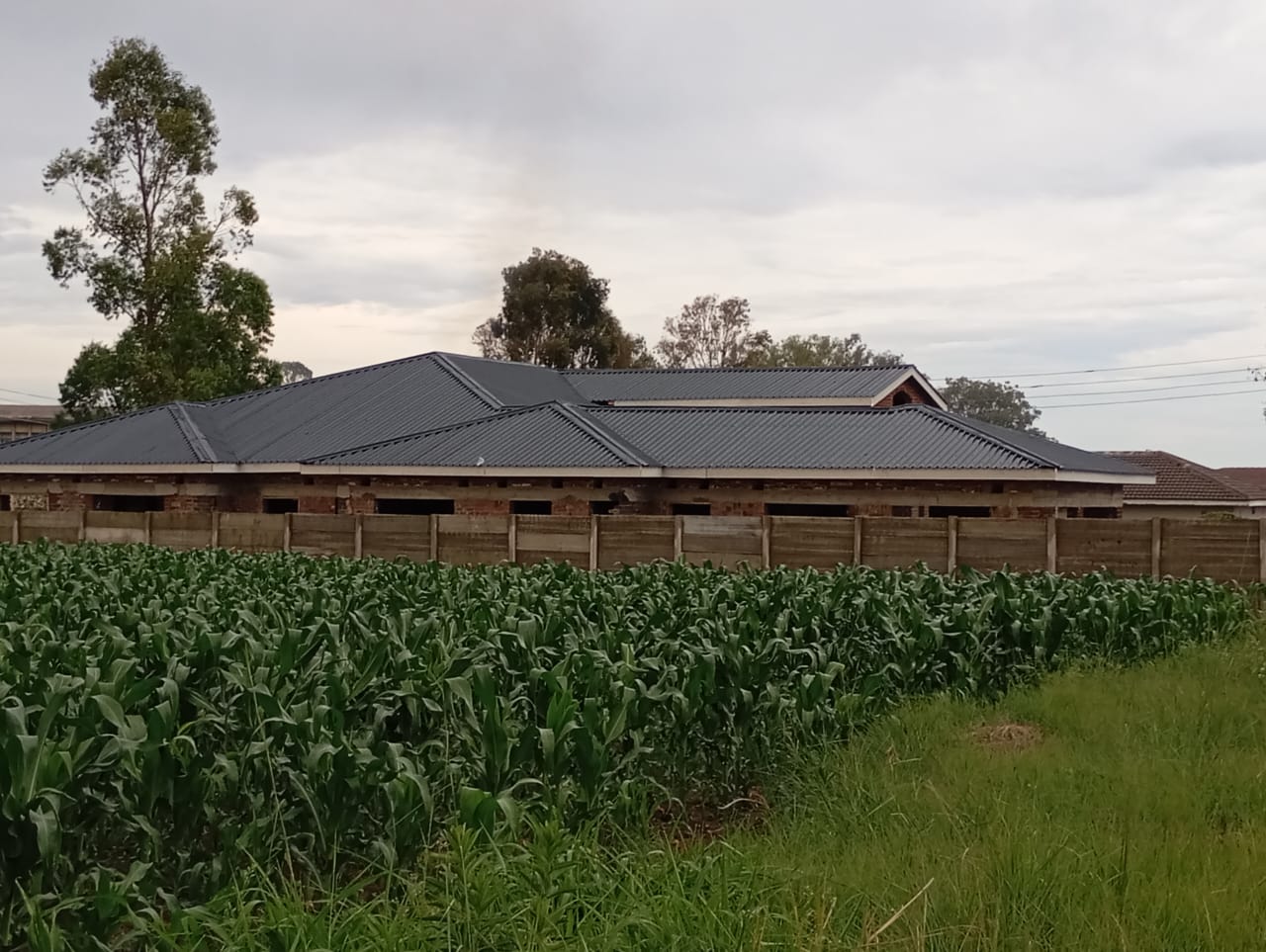 Roof Project 16